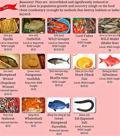 魚有幾種|臺灣海鮮選擇指南 Seafood Guide Taiwan